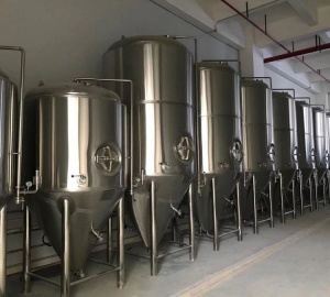 精酿啤酒设备1000升发酵罐 中小型啤酒设备厂家定做直销
