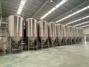 供应辽宁的年产1万吨的大型精酿啤酒设备生产定做厂家