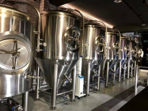 常州餐饮店精酿啤酒设备 生产2吨啤酒的设备多少钱一套
